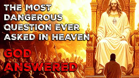 love and free will - website