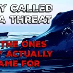 The Day The Ships Came To Rapture The Whales - Website Featured Image